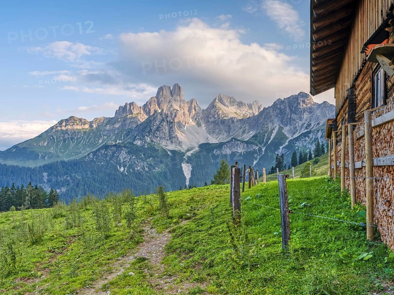 Alpine meadow in front of the large Bischofsmütze, Gosaukamm, Dachstein massif, Sulzenalm, Filzmoos, Pongau, Salzburg, Austria, Europe