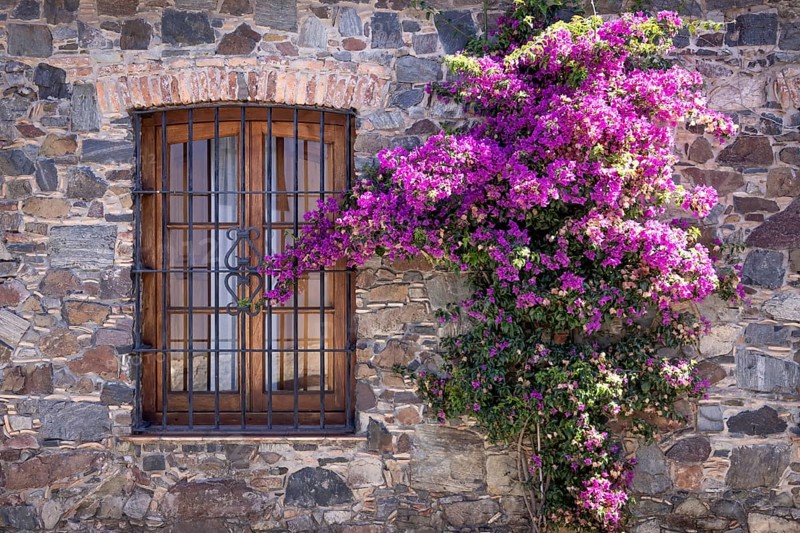 Uruguay, colonial streets of Colonia Del Sacramento in historic center of Barrio Historico, South America