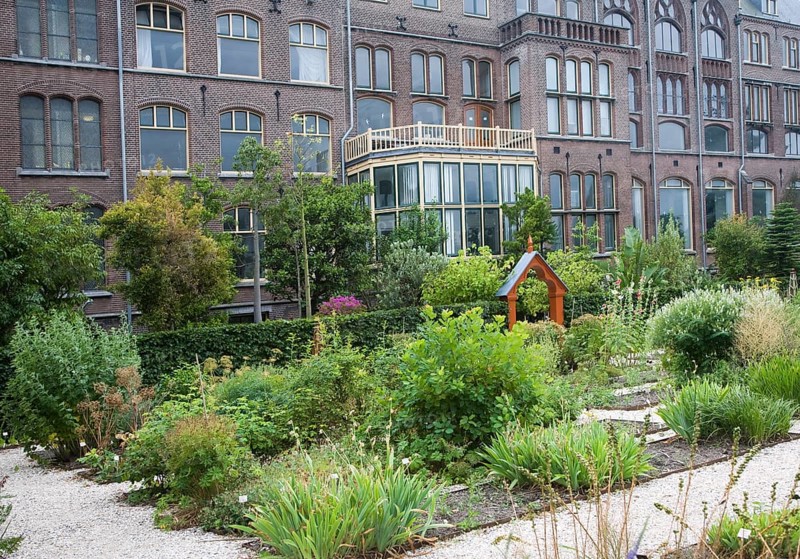 Plants growing in the botanical gardens at the University of Leiden, Netherlands
