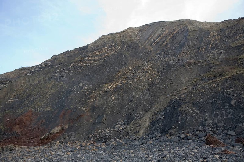 Lower lias rocks folded in an anticline structure, Watchet, Somerset, England, United Kingdom, Europe