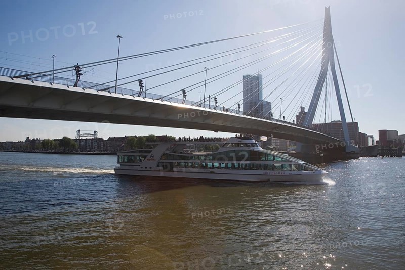 Erasmus Bridge, Erasmusbrug, spanning the River Maas designed by architect Ben van Berkel completed 1996, 800 metre span linking north and south Rotterdam, Netherlands