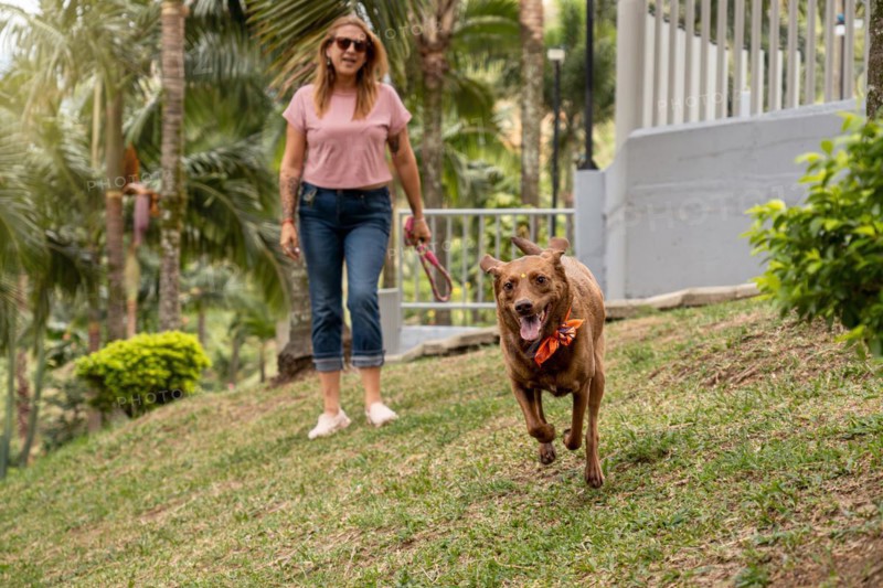 The exuberant and joyful dog runs towards the camera in the park, wearing a colorful bandana around its neck, while its owner cheers it on from the background