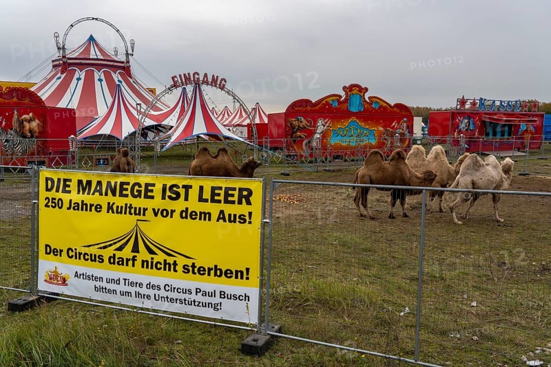 Circus Paul bush, shut down during the second corona lockdown, in Oberhausen, with posters pointing out the difficult situation of circus businesses during the pandemic, Oberhausen North Rhine-Westphalia, Germany, Europe
