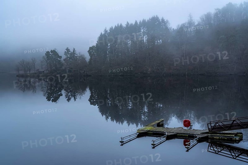 Lake Rursee in the Eifel, reservoir, upper lake, in winter, fog, near Heimbach, North Rhine-Westphalia, Germany, Europe