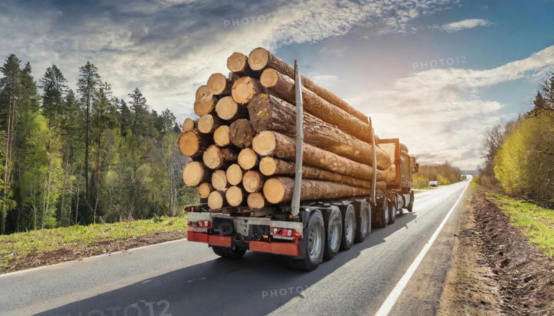 Forestry, timber industry, lorry, long timber transporter loaded with logs, on the road, AI generated, AI generated