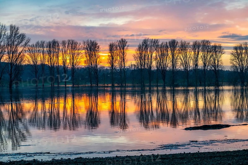 Bislicher Insel nature reserve, floodplain landscape on the Rhine, near Xanten, floods, flooded fields, meadows, North Rhine-Westphalia, Germany, Europe