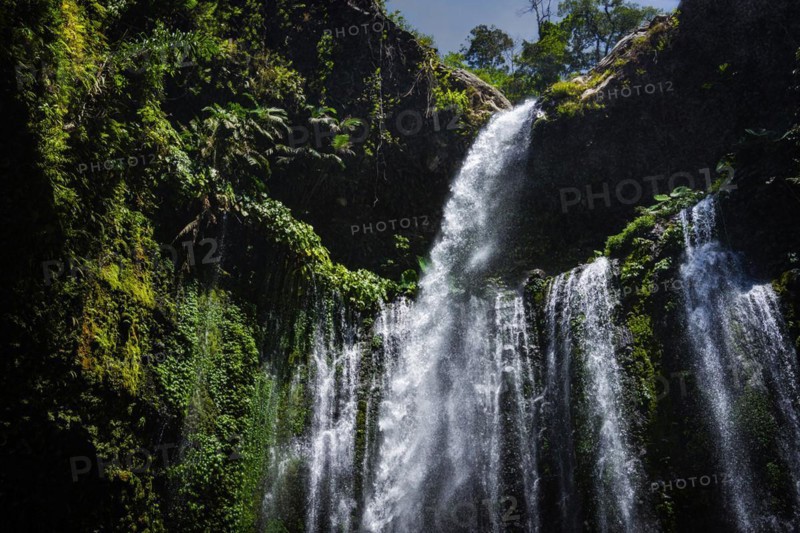 Sendang Gile waterfall, nature, landscape, flowing, river, fresh, clear, clean, environment, rainforest, jungle, green, ecological, long-distance, exotic, cascade, flora, botany, jungle, forest, tranquillity, relaxation, wellness, idyllic landscape, beautiful, beauty, natural spectacle, paradise, paradisiacal, hiking, trekking, tropical forest, rainy season, travel, tourism, water, tropical, tropics, Asian, natural landscape, untouched, holiday, pristine, water, fresh, Lombok, Indonesia, Asia