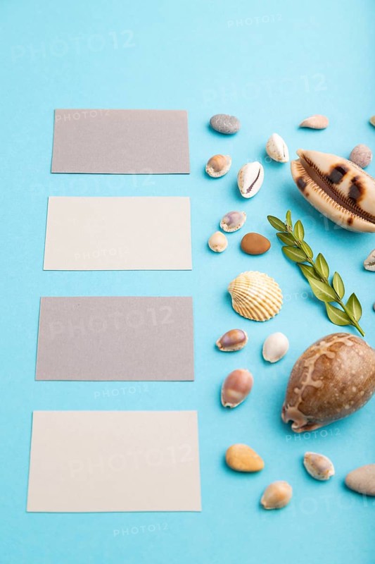 Composition with gray paper business cards, seashells, green boxwood. mockup on blue pastel background. Blank, side view, still life, copy space. travel concept