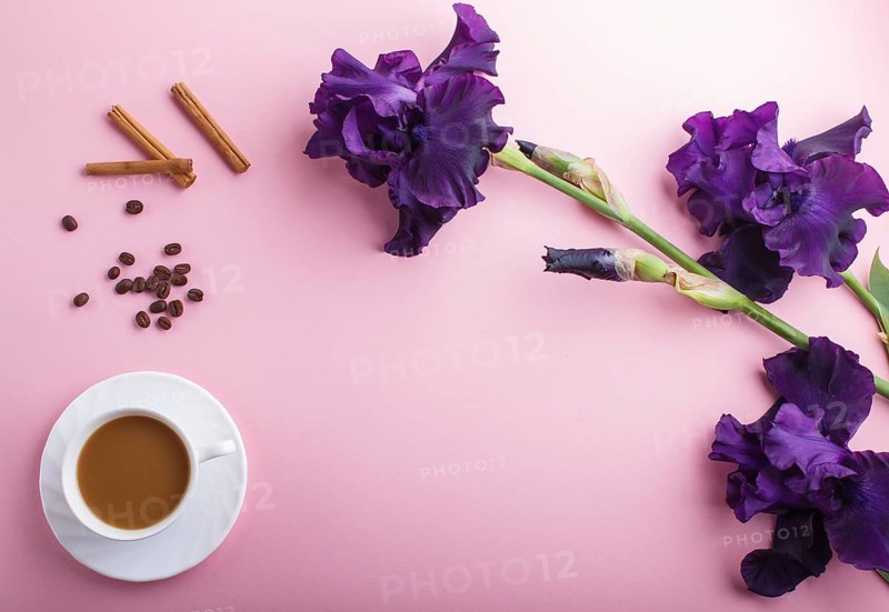 Purple iris flowers and a cup of coffee on pastel pink background. Morninig, spring, fashion composition. Flat lay, top view, copy space