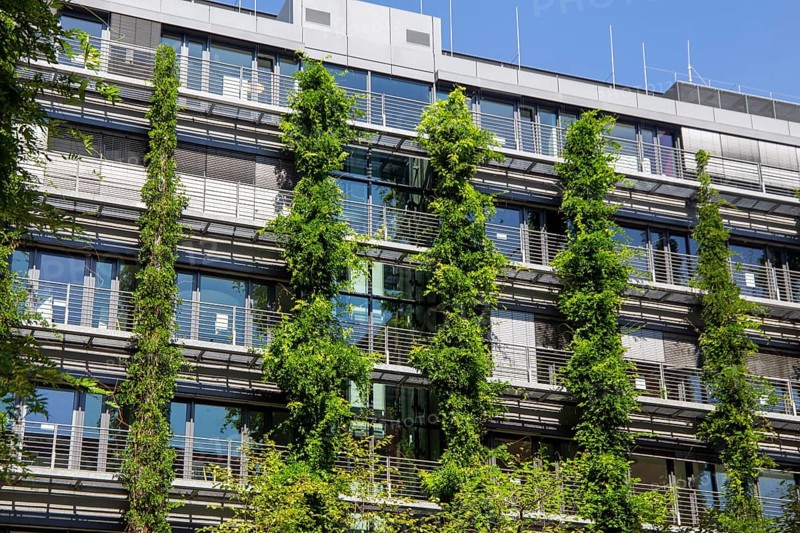 Facade greening on a residential building in the city centre of Frankfurt am Main