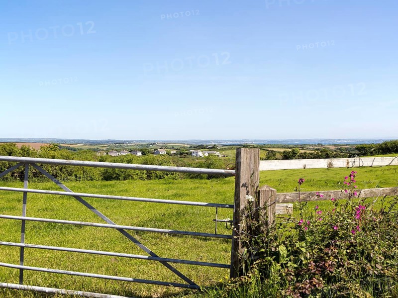 Countryside summer landscape near St Keverne, Lizard Peninsula, Cornwall, England, UK