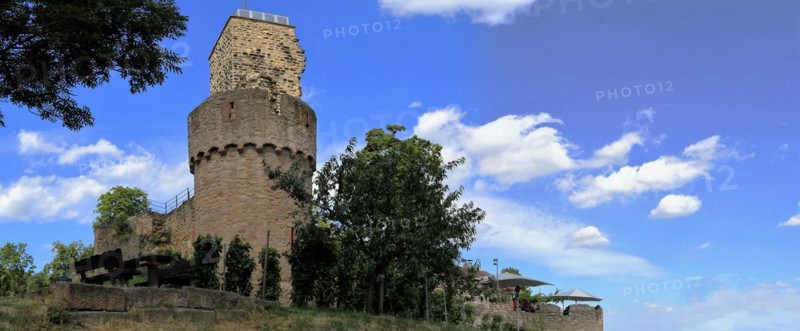 The Wachtenburg castle near Wachenheim close to Bad Dürkheim