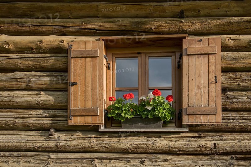 Window with shutters and geraniums at an alpine hut, Alpe di Siusi, South Tyrol, Italy, Europe