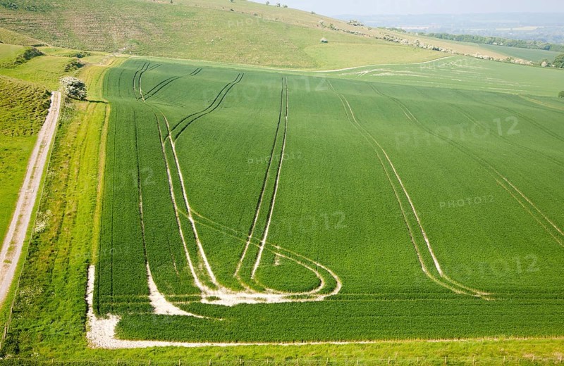 Chalk landscape Cherhill, Wiltshire, England, UK vehicle patterns in crops at foot of chalk scarp slope