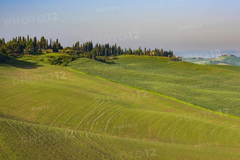 Crete Senesi, Province of Siena, Tuscany