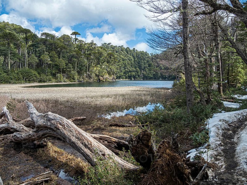 Lake Lago Chico, Park Huerquehue near Pucon, hiking trail Los Lagos, La Araucania, Chile, South America