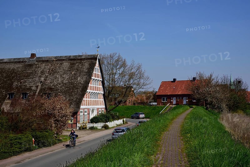 Europe, Germany, Lower Saxony, Altes Land near Hamburg, Steinkirchen an der Lühe, old half-timbered farmhouse behind the Lühe dyke, artistic brickwork of the half-timbered house, Hamburg, Hamburg, Federal Republic of Germany, Europe