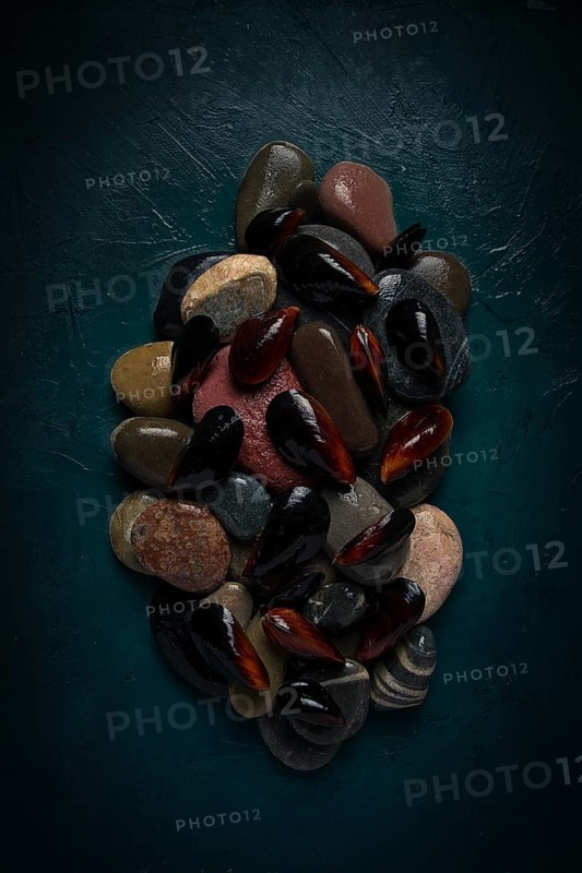 Fresh mussels, on rocks, top view, food concept, selective focus, seafood, no people