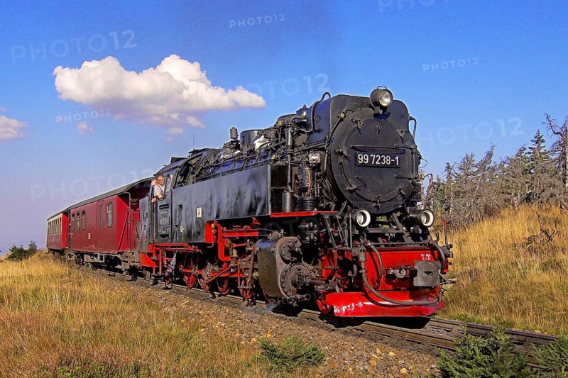 HSB, Harz narrow-gauge railway, locomotive, steam engine, smoke, HSB railway, Brockenbahn, Harz, transport, traffic, railway