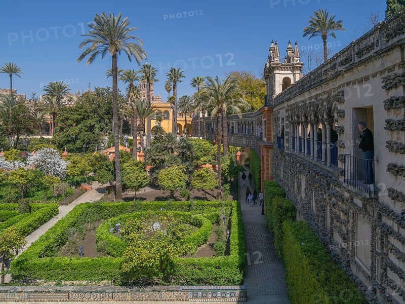 Jardines del Alcazar, gardens with palm trees in the Alcazar, Royal Palace of Seville, Seville, Spain, Europe