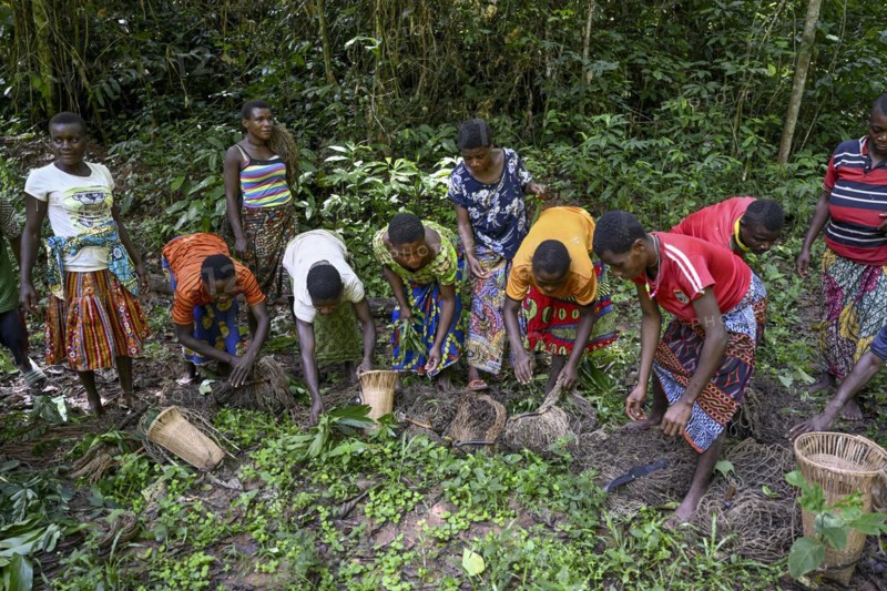 Pygmy woman of the Baka or BaAka people with their hunting nets, Dzanga-Sangha Special Dense Forest Reserve, Sangha-Mbaéré Prefecture, Central African Republic, Africa