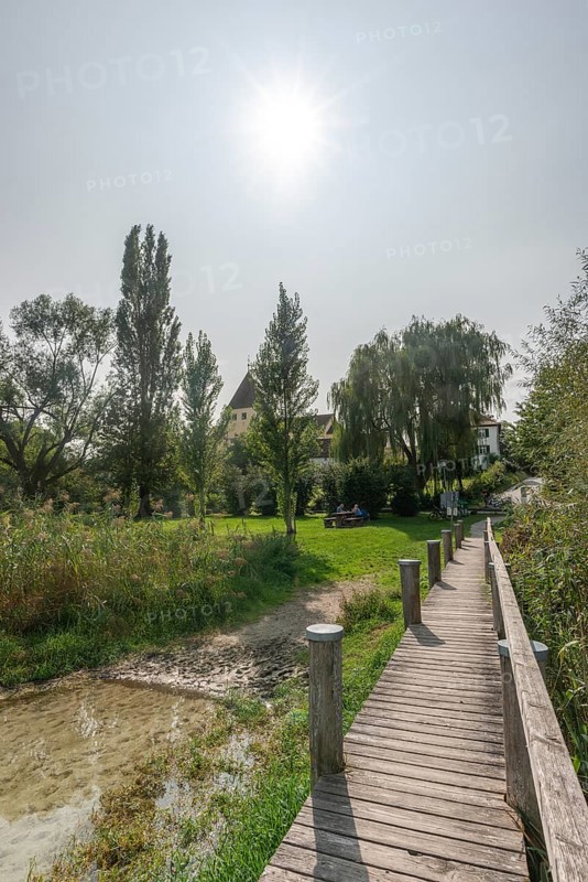 Oberzell, Reichenau Island, St George's Parish Church, UNESCO World Heritage Site, wooden footbridge, reed bank, backlight, Lake Constance, Baden-Württemberg, Germany, Europe