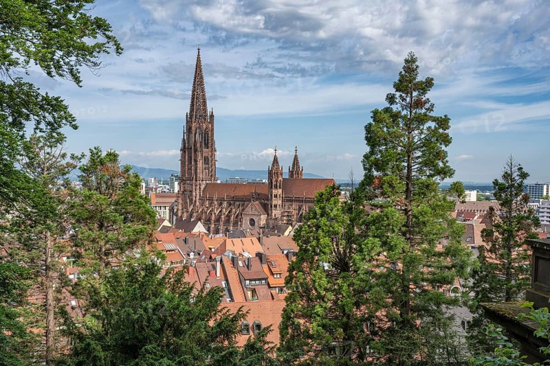 View over the roofs of the old town with Freiburg Minster, Freiburg im Breisgau, Baden-Württemberg, Germany, Europe