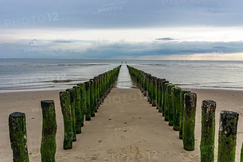 North Sea coast in Zeeland, called Zeeland Riviera, breakwater, made of wooden piles, near Zoutelande, municipality of Veere, Netherlands