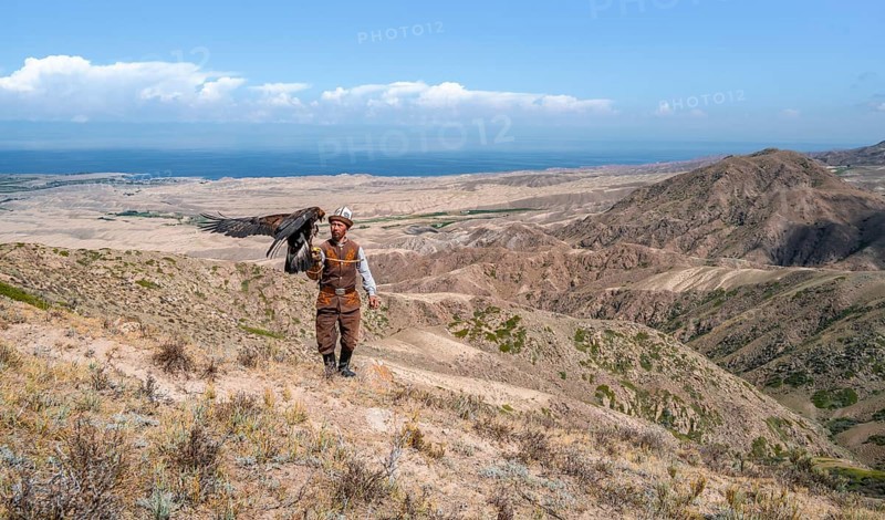 Traditional Kyrgyz eagle hunter hunting in the mountains in a dry landscape, near Kysyl-Suu, Issyk Kul, Kyrgyzstan, Asia