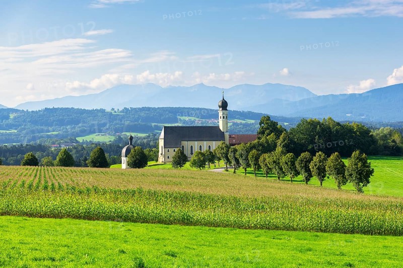 Pilgrimage church of St Marinus and Anian in Wilparting, cornfield, avenue, meadow, municipality of Irschenberg, Oberland, Upper Bavaria, Bavaria, Germany, Europe