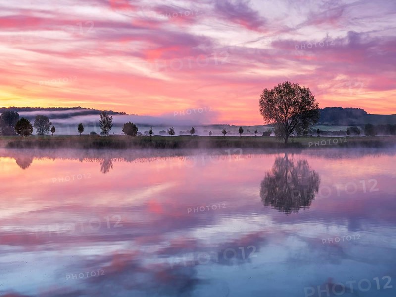 Still lake with morning mist at sunrise and dawn, a tree stands on the shore, clouds and landscape are reflected in the water, Thuringia, Germany, Europe