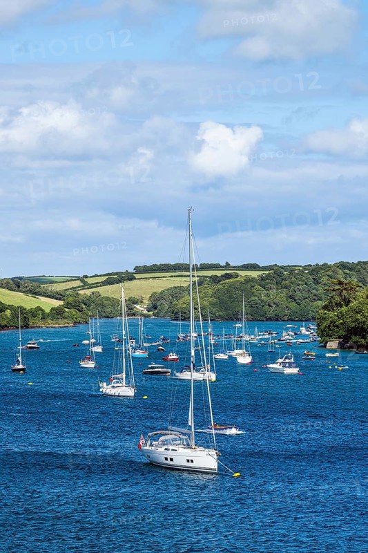 Boats and Yachts on Kingsbridge Estuary in Salcombe and Mill Bay, Batson Creek, Southpool Creek, Devon, England, United Kingdom, Europe