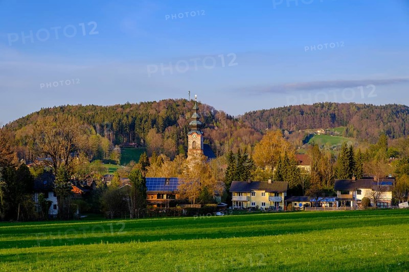 Großgmain, Salzburger Land, Austria, Europe