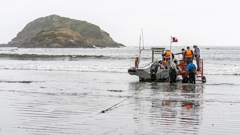 Natural Heritage Site Islotes de Punihuil, Punihuil, Chiloe, Chile, South America