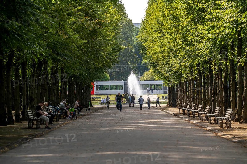 The Jägerhofallee in the Hofgarten, the central municipal park in Düsseldorf, view of the Jröner Jong fountain in the round pond, North Rhine-Westphalia, Germany, Europe