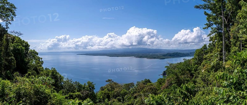 South Pacific and rainforest, Osa Peninsula, Punterenas Province, Costa Rica, Central America
