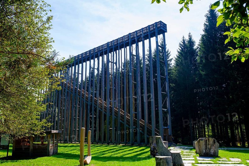 Sky ladder on the Schremser Hochmoor, municipality of Schrems, Waldviertel, Lower Austria, Austria, Europe