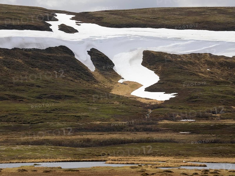 Snowfield remains in the lee of a tundra hill slope, Varanger National Park, Varanger Fjord, May, Norway, Europe