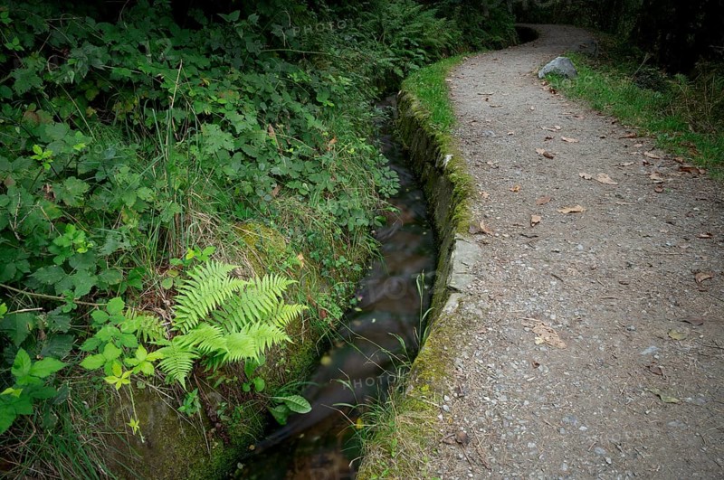 Hiking trail, Schenner Waalweg, Neuwaal, stream, long exposure, Schenna, Scena, South Tyrol, Autonomous Province of Bolzano, Italy, Europe