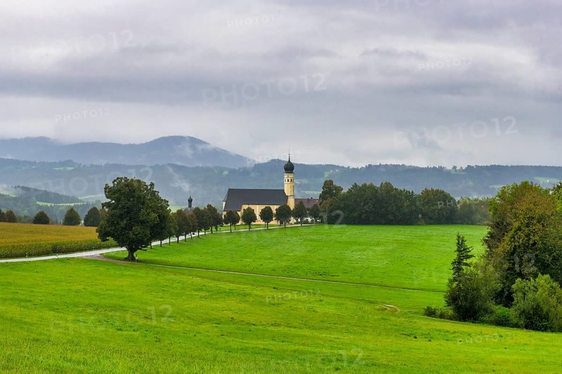 Pilgrimage church of St Marinus in Wilparting surrounded by wide green meadows and trees, under a cloudy, misty sky with a hilly background, rain, avenue, municipality of Irschenberg, Oberland, Upper Bavaria, Bavaria