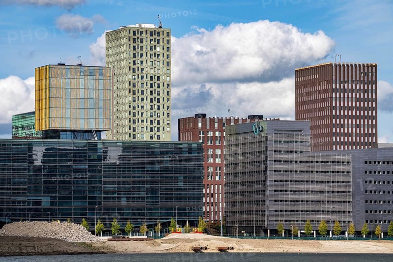 The Rijnhaven, a 28-hectare harbour basin, has now been filled in by almost a third to create space for up to 3, 000 flats, there will be an artificial beach, a floating park connected by jetties, restaurants and shops, cultural facilities, a major urban development project in the old harbour, the Rijnhaven borders on the popular Kop van Zuid and Katendrecht districts, Rotterdam, Netherlands