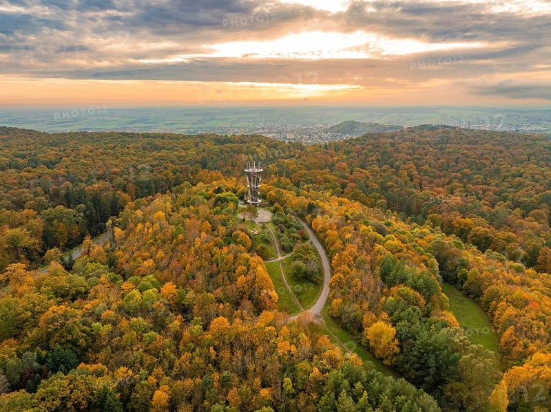 Observation tower in the middle of a colourful autumn forest with a passable road and a wide horizon, Schönbuchturm, Herrenberg, Germany, Europe
