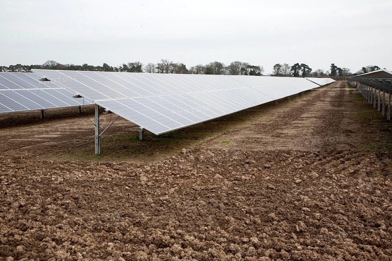 Solar array of photovoltaic panels in a large new solar park at Bucklesham, Suffolk, England, United Kingdom, Europe