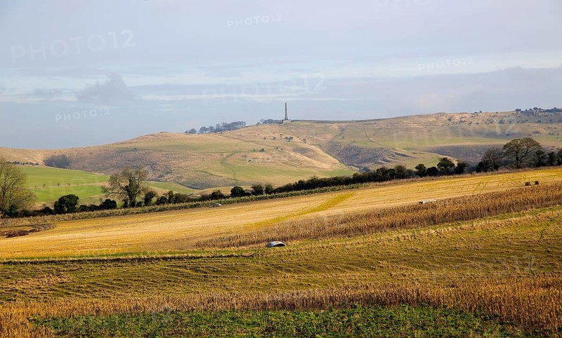 Chalk landscape view to Lansdowne monument, Cherhill, North Wessex Downs, Wiltshire, England, UK near Calstone Wellington