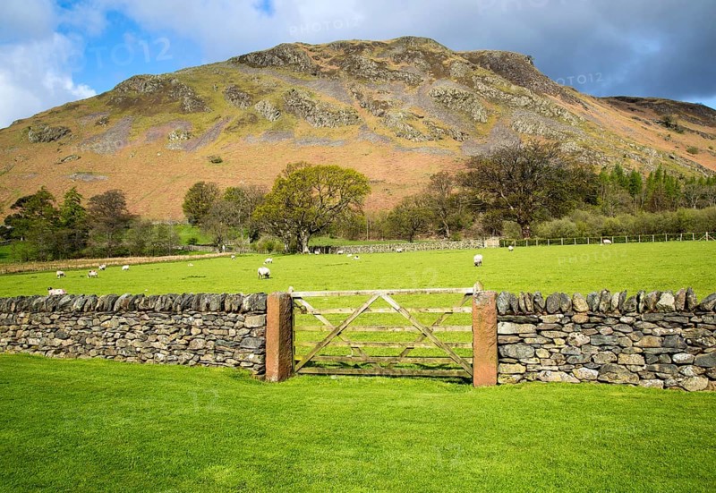 Hallin Fell, Howtown, Ullswater, Lake District national park, Cumbria, England, UK