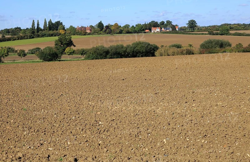Rural early autumn landscape harrowed fields Monewden, Suffolk, England, UK