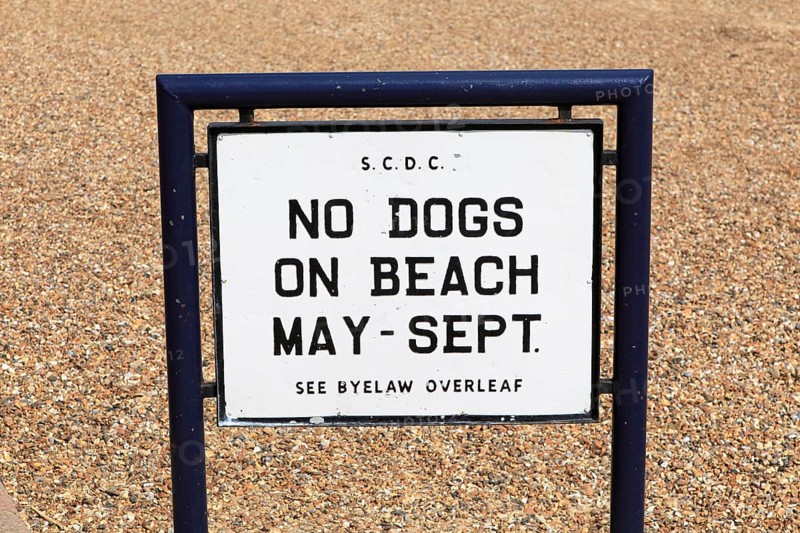 No Dogs on Beach seaside sign Felixstowe, Suffolk, England, UK