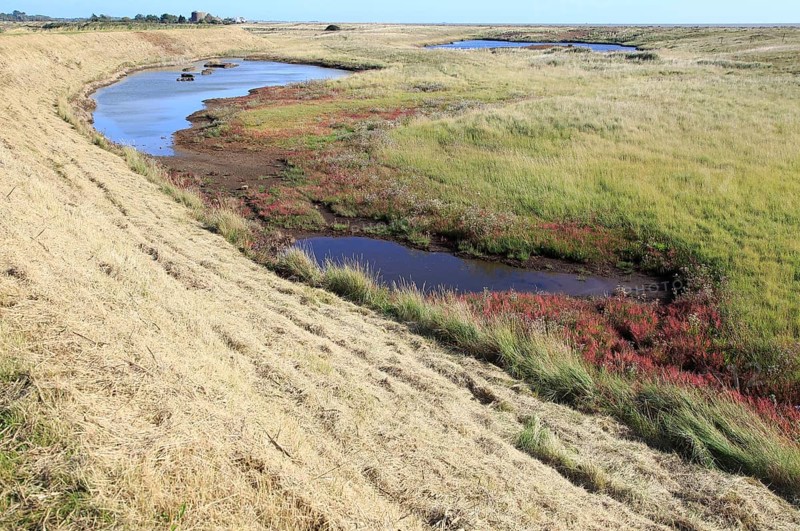 Flood defence sea wall dyke view north over coastal salt marsh to Shingle Street, Alderton, Suffolk, England, UK