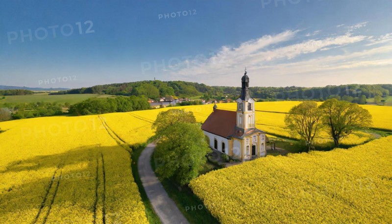 Agriculture, rape field, in full bloom, yellow, in it a small prayer chapel, aerial view, AI generated, AI generated