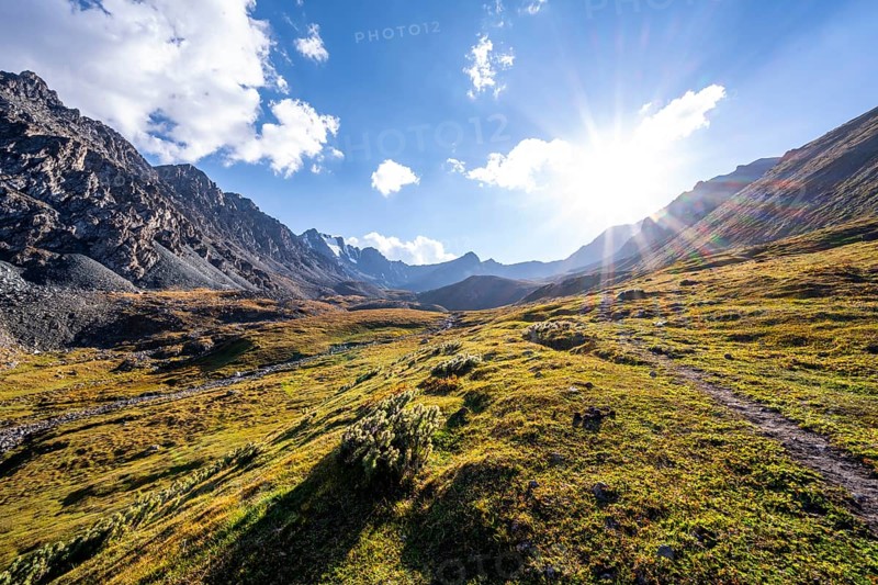 Hiking trail, green high valley in atmospheric light, Keldike Valley on the way to the Ala Kul Pass, Sun Star, Tien Shan Mountains, Kyrgyzstan, Asia